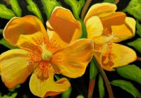 /album/fenykepgaleria/nezz-ram-jpg/